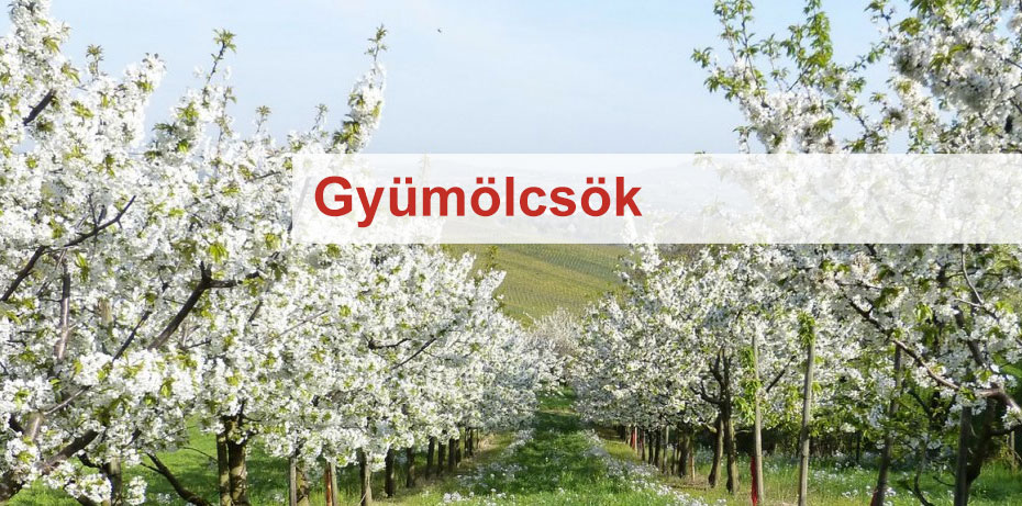 Pálinka.online | Gyümölcsfák házi pálinka készítéshez